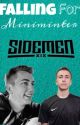 Falling for miniminter (miniminter fanfic) *completed* by minterlove