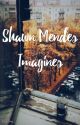 Shawn Mendes Imagines by ballerina_x