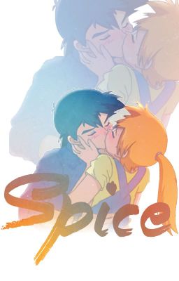 Spice cover