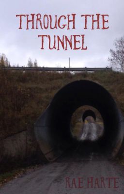 Through the Tunnel (bxb) cover