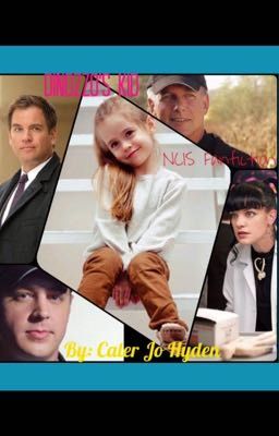 DiNozzo's Kid (NCIS fanfiction) cover