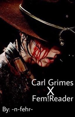 Carl Grimes x Fem reader (Book 1) cover