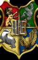 Camps in Hogwarts by SilverMist6279