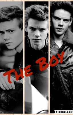 The Boy (Thomas Brodie Sangster x Reader) cover