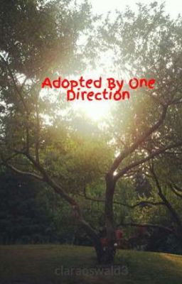 Adopted By One Direction cover