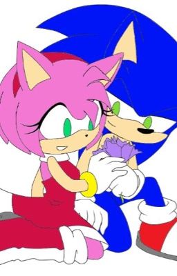 Sonamy lovers will never end cover