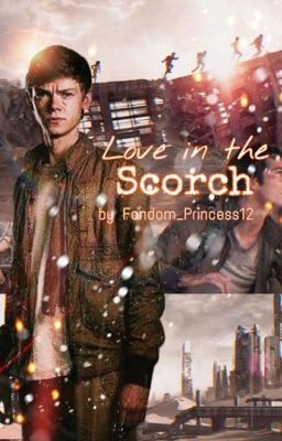 Love in the Scorch (Newt x Reader) cover