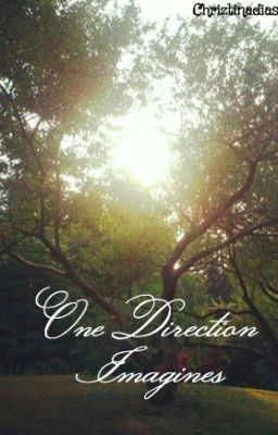 One Direction Imagines cover