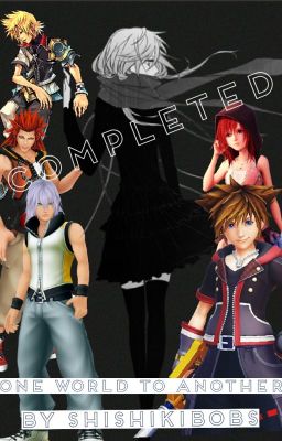 One World to Another COMPLETED(Kingdom Hearts Fan-Fic Riku love Story) cover