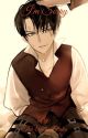 I'm Sorry (Levi X Reader) DISCONTINUED by TheUnicornOtaku