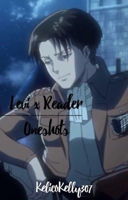 Levi x Reader | Oneshots cover