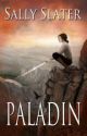 Paladin by SallySlater