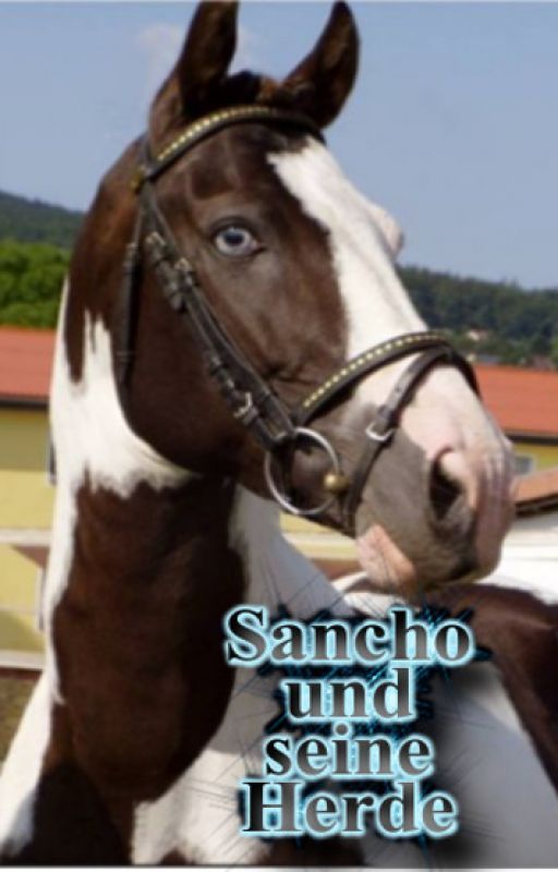 Sancho und seine Herde by Saranly