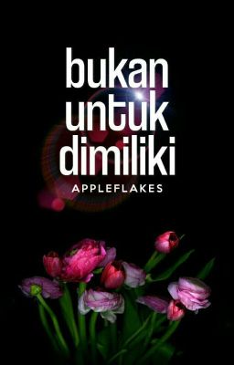 Bukan Untuk Dimiliki cover