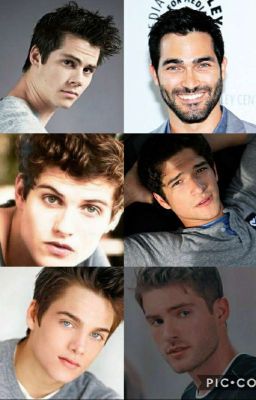 Teen wolf preferences/imagines cover