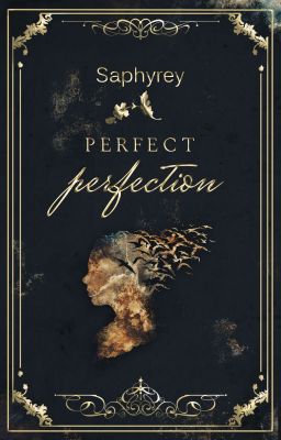 Perfect Perfection cover