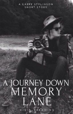 A Journey Down Memory Lane | L.S. cover