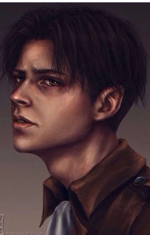 The Unknown Girl {Levi Ackerman X Reader} by authoritay