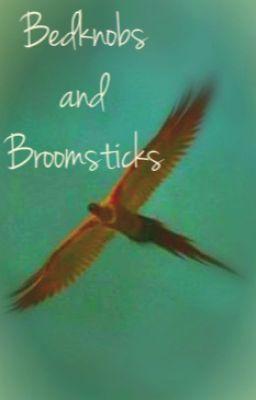 Bedknobs and Broomsticks [HP fanfic; BNB Book 1] cover