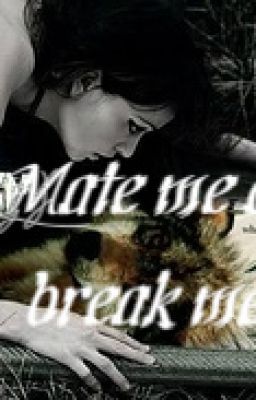 Mate me or break me (Watty awards 2012) cover