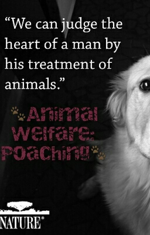 Animal Welfare: Poaching by caitlin88x