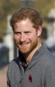 The Crown (Prince Harry fanfic #5) by SophiaJohnson255