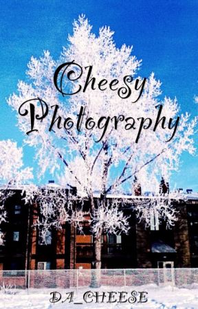 Cheesy Photography by DA_CHEESE