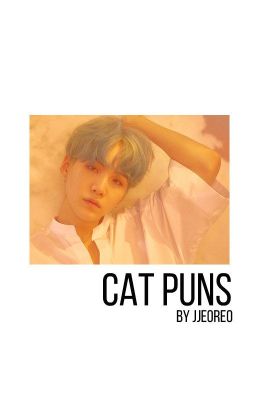 Cat Puns // YoonMin cover