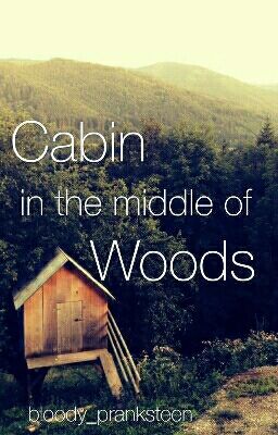 Cabin in the middle of Woods cover