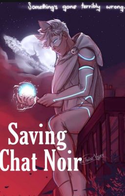 Saving Chat Noir cover