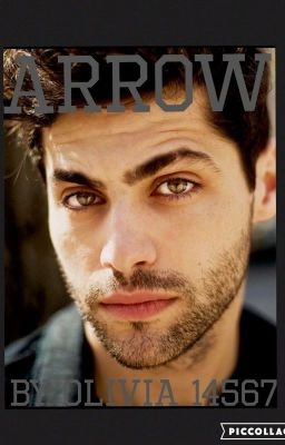  Arrow ➰➰➰Alec lightwood  cover