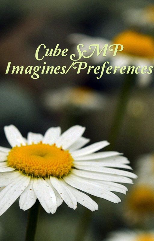 Cube SMP Imagines and Preferences by KiinqtonqsBunny