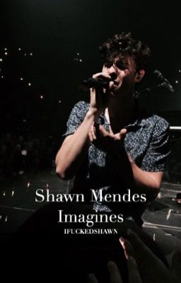 Shawn Mendes Imagines  cover