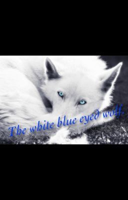 The white blue eyed wolf. cover