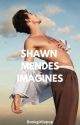 Shawn Mendes Imagines by bookgirliepop