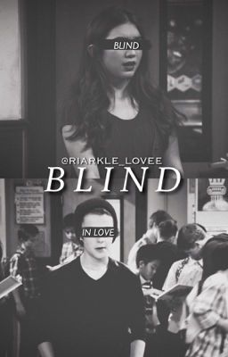 Blind cover