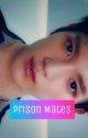 Prison Mates | pjm; myg by -joehawn