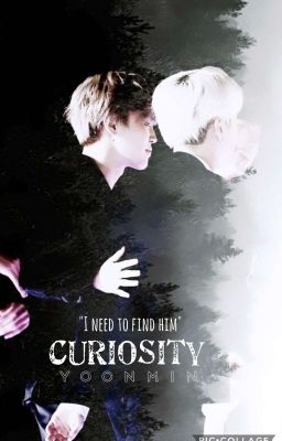 | Curiosity || Yoonmin | cover