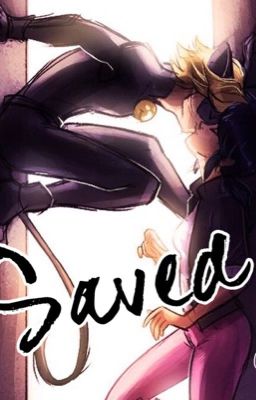 Saved cover