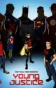 Apart of the team Young Justice fanfiction  by InuHinamori