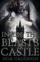 Inside the Beast's Castle by no_kidding