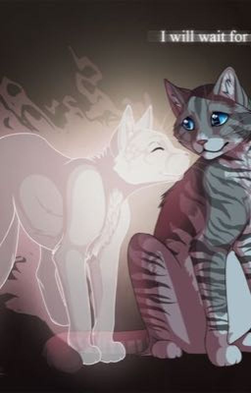 Jayfeather X Half Moon (Meet me at dawn)  by Kit_KatGamer