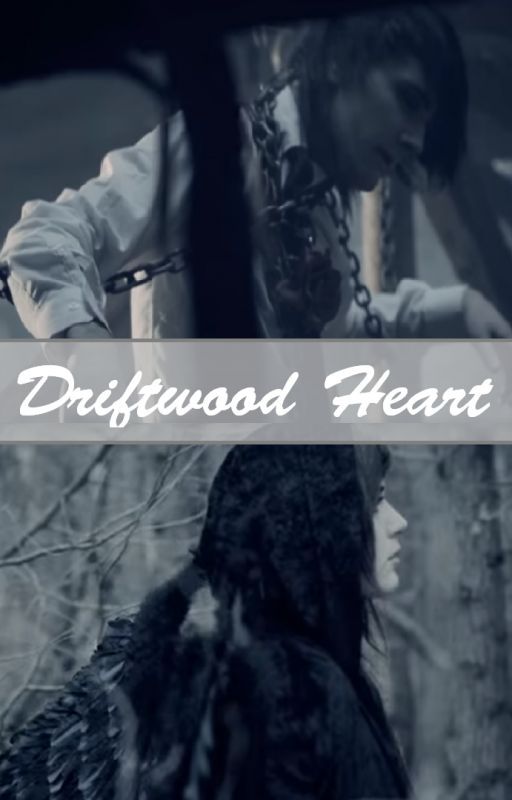 Driftwood Heart - A SayWeCanFly Fanfiction by XScarlettxHayesX