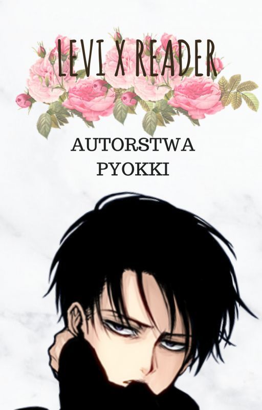 Levi x Reader [PL] by pyokki