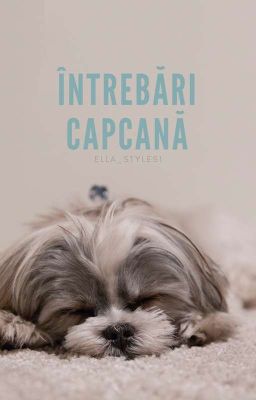 Întrebări capcană cover