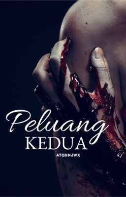 Peluang Kedua cover