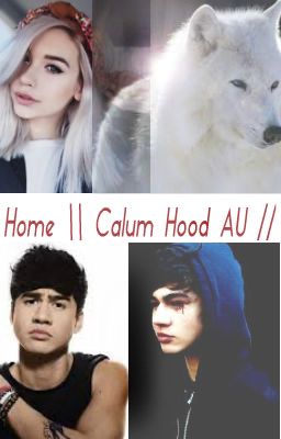 Home \\ Calum Hood AU // [#Wattys2016] cover