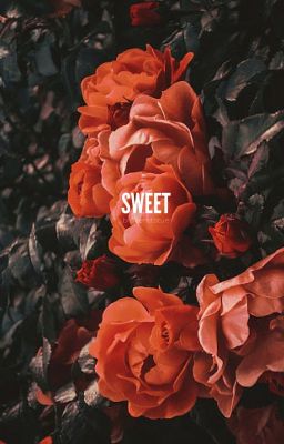 sweet ; blaise zabini cover