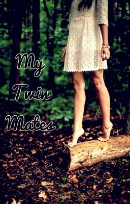 My Twin Mates cover