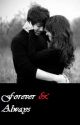 Forever & Always (One Direction FanFic) by sachysalcedo